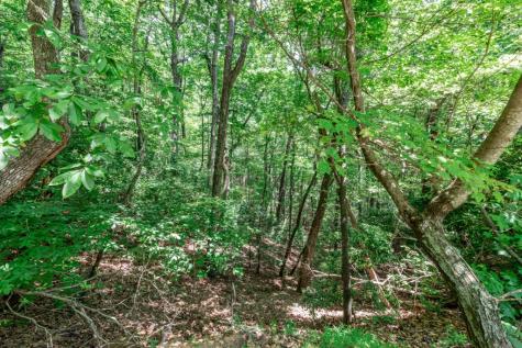 Lot 56 Indian Rock Springs Murphy NC 28906