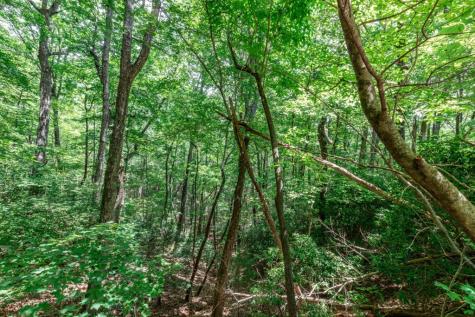 Lot 56 Indian Rock Springs Murphy NC 28906