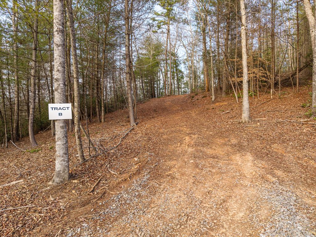 Trail B E New Hope Road E Ellijay GA 30536