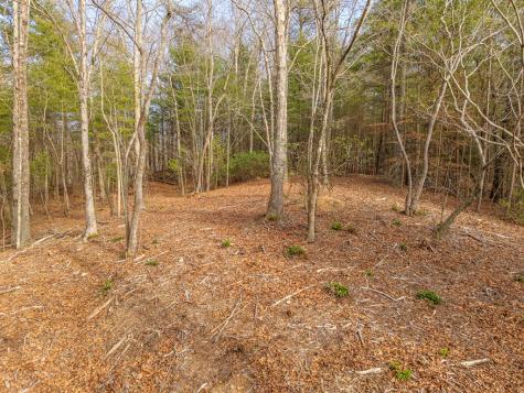 Trail B E New Hope Road E Ellijay GA 30536