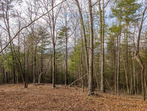 Trail B E New Hope Road E Ellijay GA 30536