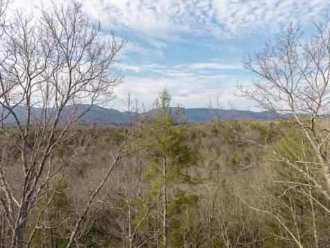 Trail B E New Hope Road E Ellijay GA 30536