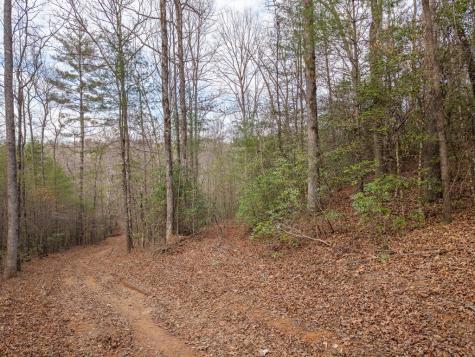 Trail B E New Hope Road E Ellijay GA 30536