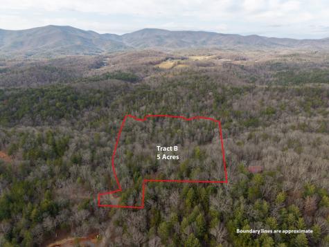 Trail B E New Hope Road E Ellijay GA 30536