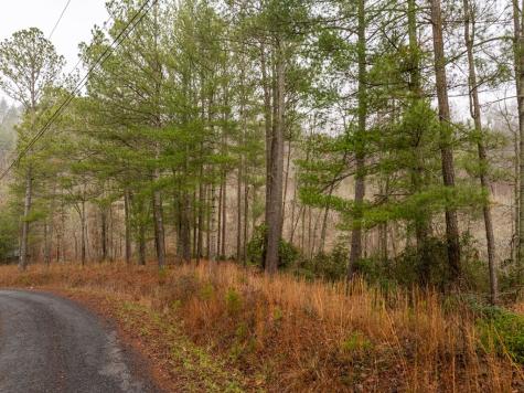 Lot 1742 Meadow Lane Talking Rock GA 30175