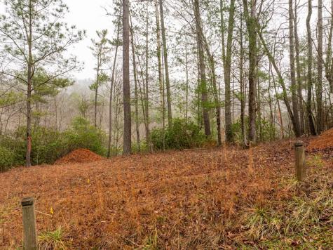 Lot 1742 Meadow Lane Talking Rock GA 30175