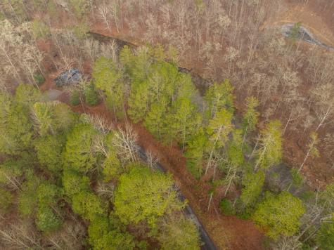 Lot 1742 Meadow Lane Talking Rock GA 30175