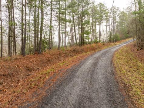 Lot 1742 Meadow Lane Talking Rock GA 30175