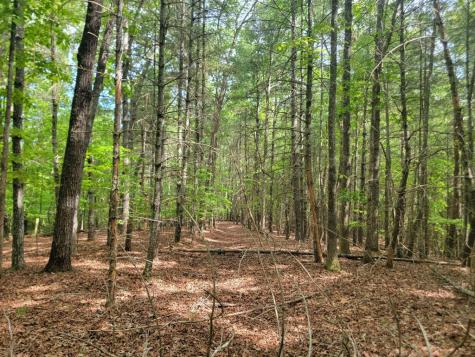 Lot 44 Sugar Maple Lane Murphy NC 28906