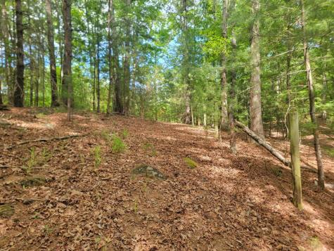 Lot 44 Sugar Maple Lane Murphy NC 28906