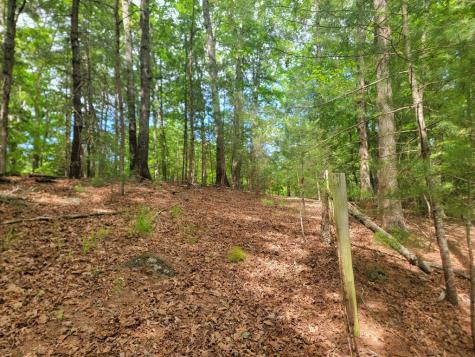 Lot 44 Sugar Maple Lane Murphy NC 28906