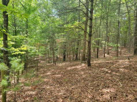 Lot 44 Sugar Maple Lane Murphy NC 28906