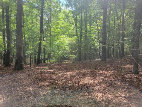 Lot 44 Sugar Maple Lane Murphy NC 28906