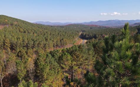 60 Thirteen Hundred Blairsville GA 30512