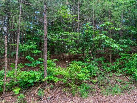 Lot 17 Misty Mountain Trail Ellijay GA 30536