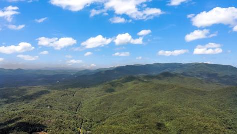 Lot 17 Misty Mountain Trail Ellijay GA 30536