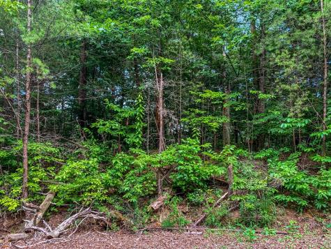 Lot 17 Misty Mountain Trail Ellijay GA 30536