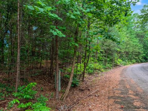Lot 17 Misty Mountain Trail Ellijay GA 30536