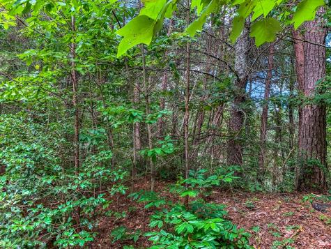 Lot 17 Misty Mountain Trail Ellijay GA 30536