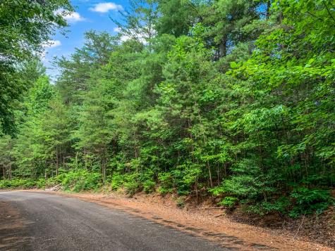 Lot 17 Misty Mountain Trail Ellijay GA 30536