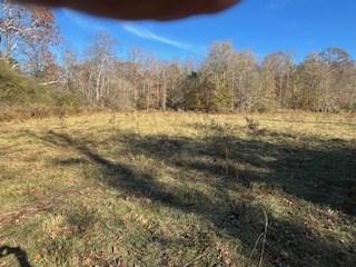 0 Julius Bridge Road Ball Ground GA 30107