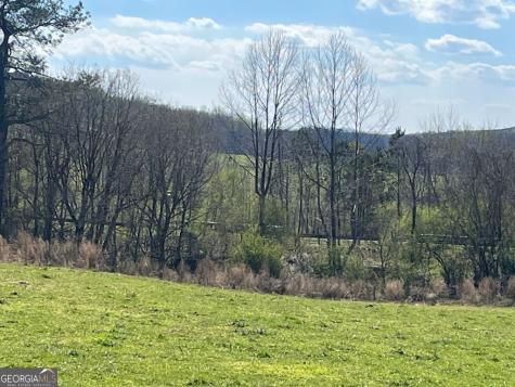 0 Julius Bridge Road Ball Ground GA 30107