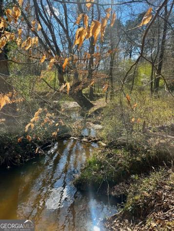 0 Julius Bridge Road Ball Ground GA 30107