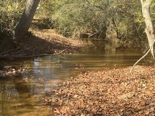 0 Julius Bridge Road Ball Ground GA 30107