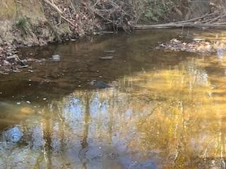 0 Julius Bridge Road Ball Ground GA 30107