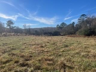 0 Julius Bridge Road Ball Ground GA 30107