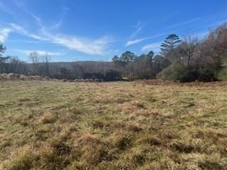 0 Julius Bridge Road Ball Ground GA 30107