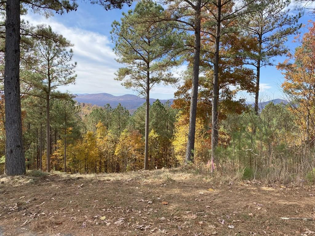 Lot 14 Mile High Lane Blairsville GA 30512