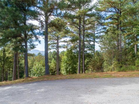 Lot 14 Mile High Lane Blairsville GA 30512