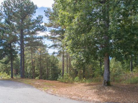 Lot 14 Mile High Lane Blairsville GA 30512