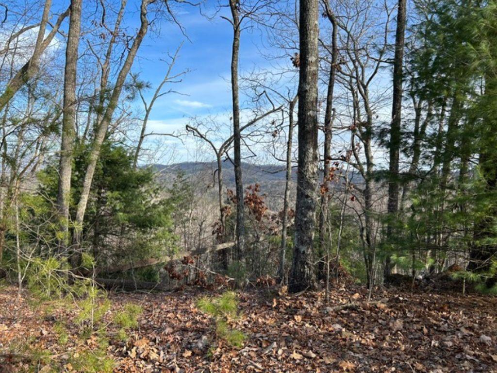 Lot 46 Mission Ridge Hayesville NC 28904