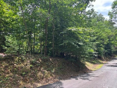 Lot 46 Mission Ridge Hayesville NC 28904