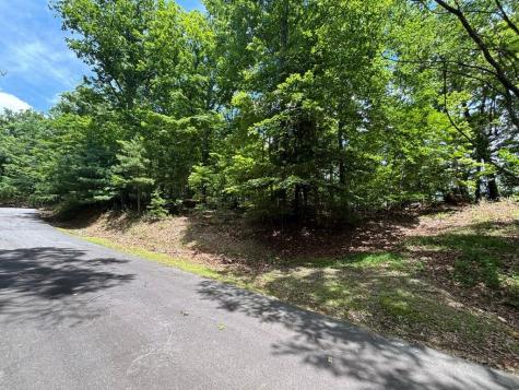 Lot 46 Mission Ridge Hayesville NC 28904
