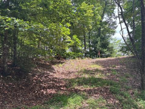 Lot 46 Mission Ridge Hayesville NC 28904
