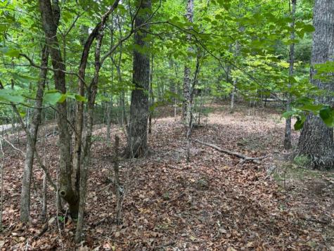 Lot 46 Mission Ridge Hayesville NC 28904