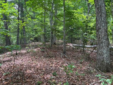 Lot 46 Mission Ridge Hayesville NC 28904