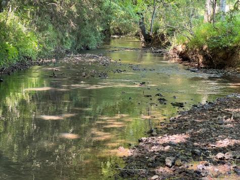 0 Cedar Creek Road Cartersville GA 30121