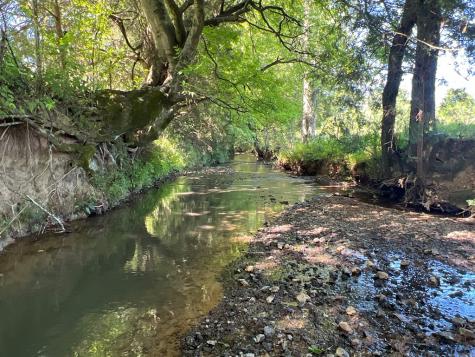 0 Cedar Creek Road Cartersville GA 30121