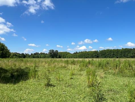 0 Cedar Creek Road Cartersville GA 30121