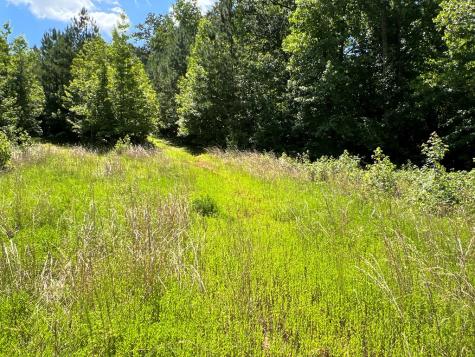 0 Cedar Creek Road Cartersville GA 30121