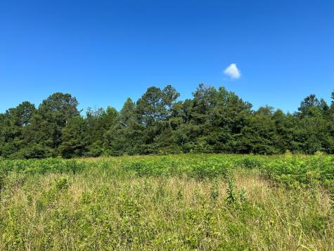 0 Cedar Creek Road Cartersville GA 30121