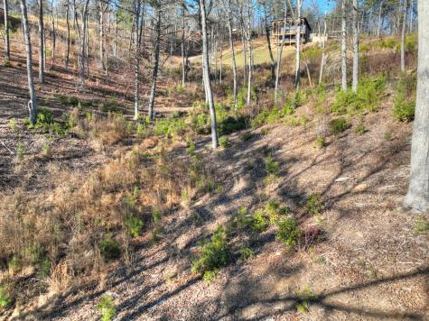 Lot 16 Mountain Laurel Ridge Mineral Bluff GA 30559