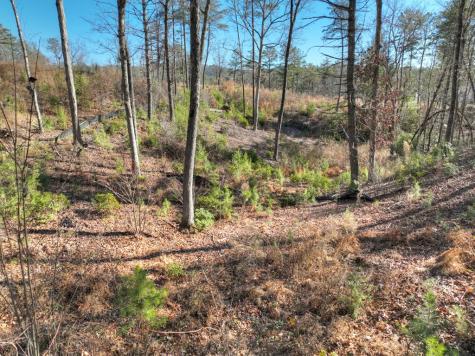 Lot 16 Mountain Laurel Ridge Mineral Bluff GA 30559