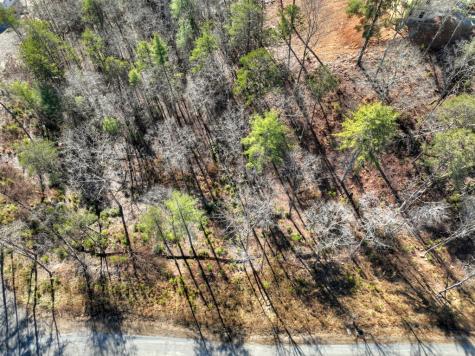 Lot 16 Mountain Laurel Ridge Mineral Bluff GA 30559