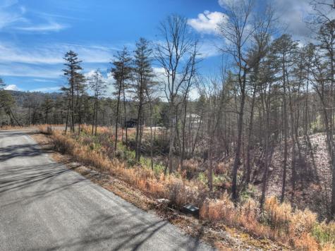 Lot 16 Mountain Laurel Ridge Mineral Bluff GA 30559
