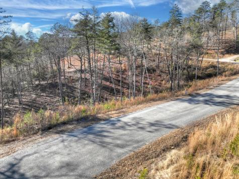 Lot 16 Mountain Laurel Ridge Mineral Bluff GA 30559